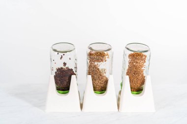 Üçüncü gün. Mutfak tezgahında filizlenen kapağı olan bir kavanozda organik filizler yetişiyor..