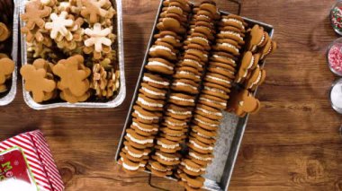 Düz yatıyordu. Sevimli ev yapımı zencefilli kurabiye ve şekerli kurabiye, bol çikolataya batırılmış, dekoratif Noel kutusuna yerleştirilmiş mevsimlik hediyeler için mükemmel..