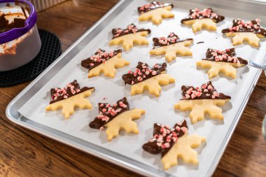 Yıldız şeklinde kurabiyeler hazırlıyorum, çikolataya yarı daldırılmış, bayram için naneli çikolata parçacıkları ile aksanlı..
