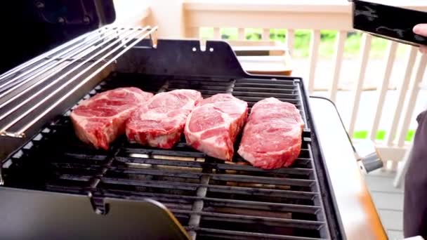 Outdoor Two Burner Gas Grill Put Good Use Sizzling Sound — Stock Video
