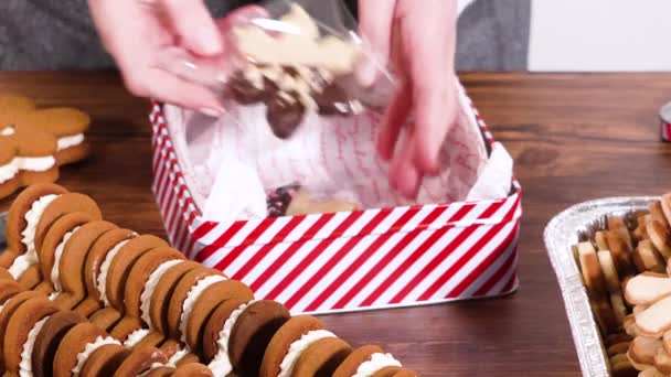 素敵な自家製ジンジャーブレッドと砂糖クッキーは 季節の贈り物に最適な装飾的なクリスマススティンボックスに囲まれた豊富なチョコレートで半分浸ります — ストック動画