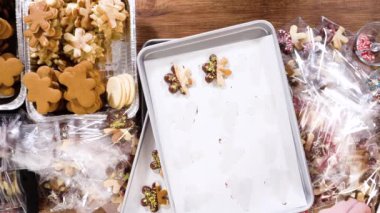 Düz yatıyordu. Dikkatlice paketlenmiş Noel kurabiyeleri, çikolataya batırılmış ve şeffaf selofan ambalajla sunulmuş, bayram hediyesi olarak mükemmel..