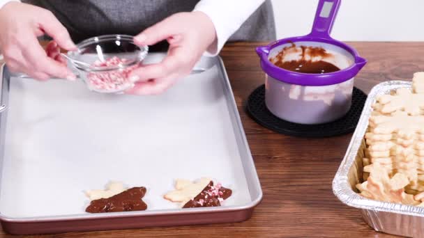 Forbereder Stjerneformede Kaker Halvdyppet Sjokolade Aksentert Med Peppermynte Sjokolade Chips – stockvideo