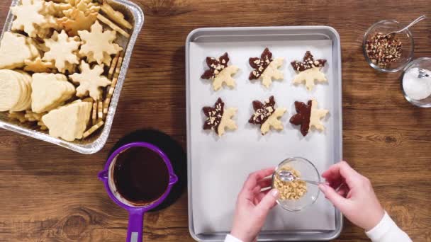 Piatto Preparazione Biscotti Forma Stella Metà Immersi Nel Cioccolato Accentati — Video Stock