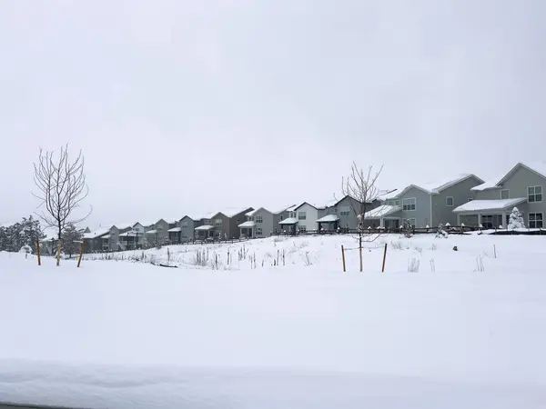 Homes Peaceful Suburb Bask Tranquility Fresh Snowfall Structures Adorned Nature — Stock Photo, Image