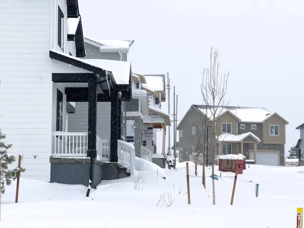Castle Rock Colorado Usa März 2024 Neuschnee Bedeckt Sanft Ein — Stockfoto