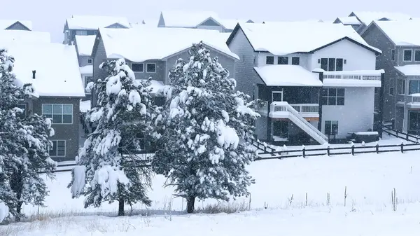 Schnee Umhüllt Die Evergreens Kontrastiert Mit Den Geordneten Vorstadthäusern Unter — Stockfoto