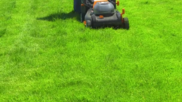 콜로라도 2023 집에서 무성한 잔디는 공간을 기계를 사용하여 세심하게 깎아집니다 — 비디오