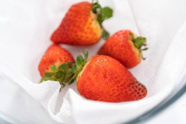 Parlak kırmızı çilekler, küf izleriyle karışmış, beyaz peçetedeki kağıt havluyla kaplı cam bir kasede dinleniyor, depolama tekniklerini gösteriyor..