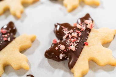Yıldız şeklinde kurabiyeler hazırlıyorum, çikolataya yarı daldırılmış, bayram için naneli çikolata parçacıkları ile aksanlı..