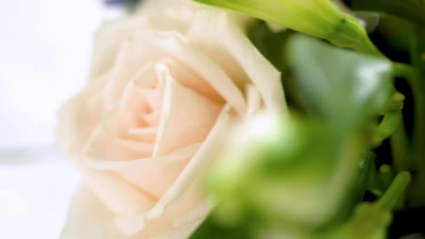 신선한 장미와 특징으로하는 꽃다발은 시대가없는 아름다움을 제외하고 꽃병에 우아하게 배치됩니다 — 비디오