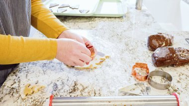 Çeşitli şenlikli kurabiye kesicilerle mermer tezgahtaki rulo hamurdan sevimli zencefilli kurabiyeler kesip modern mutfağa bayram neşesi getiriyorduk..