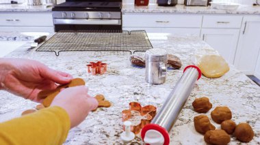 Çeşitli şenlikli kurabiye kesicilerle mermer tezgahtaki rulo hamurdan sevimli zencefilli kurabiyeler kesip modern mutfağa bayram neşesi getiriyorduk..