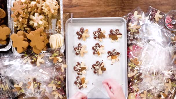Плоский Лежал Тщательно Упаковывая Рождественское Печенье Полуокунутое Шоколад Представленное Прозрачной — стоковое видео