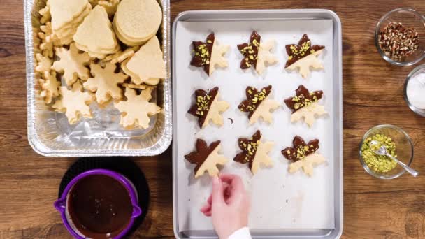 フラットレイ 星型のクッキーの準備 チョコレートで半分ディップ 休日のためのペパーミントチョコレートチップでアクセント — ストック動画
