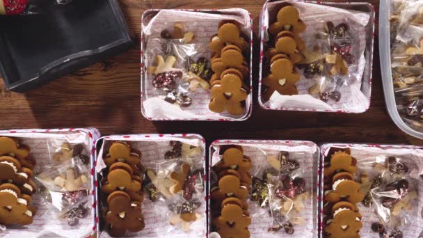 平躺在床上可爱的自制姜饼和糖饼干 一半浸在浓郁的巧克力中 安顿在装饰精美的圣诞锡盒中 非常适合季节性送礼 — 图库视频影像