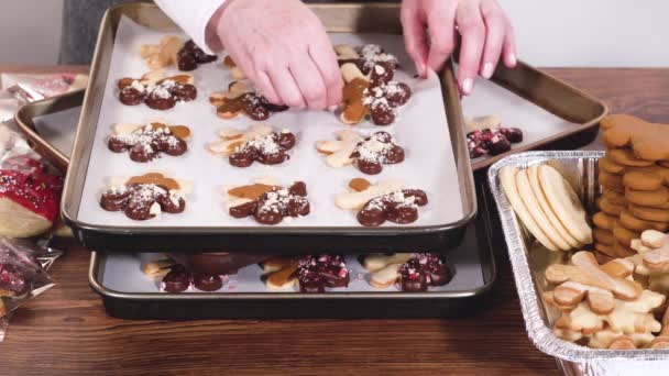 Carefully Packaging Christmas Cutout Cookies Half Dipped Chocolate Presented Clear — Stock Video