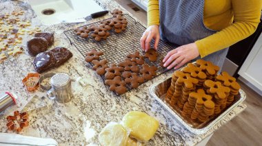 Mükemmel pişirdikten sonra, bu lezzetli zencefilli kurabiyeler tel askıda zarifçe soğuyor, modern mutfağı sıcak ve davetkar bir aromayla dolduruyor..