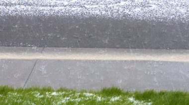 Çimenlik ve kayalık bir fırtına sonrası dolu örtüsü altında, yeşil çimenler ve buz tabakasından süzülen küçük çalılar. Beyaz dolu ve yeşillik arasındaki zıtlık...