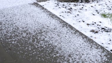 Çimenlik ve kayalık bir fırtına sonrası dolu örtüsü altında, yeşil çimenler ve buz tabakasından süzülen küçük çalılar. Beyaz dolu ve yeşillik arasındaki zıtlık...