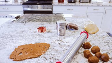 Çeşitli şenlikli kurabiye kesicilerle mermer tezgahtaki rulo hamurdan sevimli zencefilli kurabiyeler kesip modern mutfağa bayram neşesi getiriyorduk..