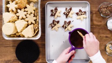 Düz yatıyordu. Yıldız şeklinde kurabiyeler hazırlıyorum, çikolataya yarı daldırılmış, bayram için naneli çikolata parçacıkları ile aksanlı..