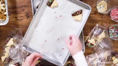 Düz yatıyordu. Dikkatlice paketlenmiş Noel kurabiyeleri, çikolataya batırılmış ve şeffaf selofan ambalajla sunulmuş, bayram hediyesi olarak mükemmel..