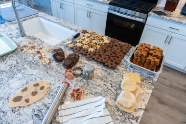 Çağdaş beyaz bir mutfakta zencefilli kurabiye hamuru ustalıkla sarılır ve nefis bir tatil ziyafeti için zemin hazırlar..