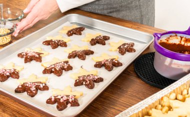 Yıldız şeklinde kurabiyeler hazırlıyorum, çikolataya yarı daldırılmış, bayram için naneli çikolata parçacıkları ile aksanlı..