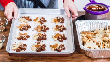 Çikolataya batırılmış ve çeşitli malzemeler serpiştirilmiş yıldız şeklinde tatil kurabiyeleri..