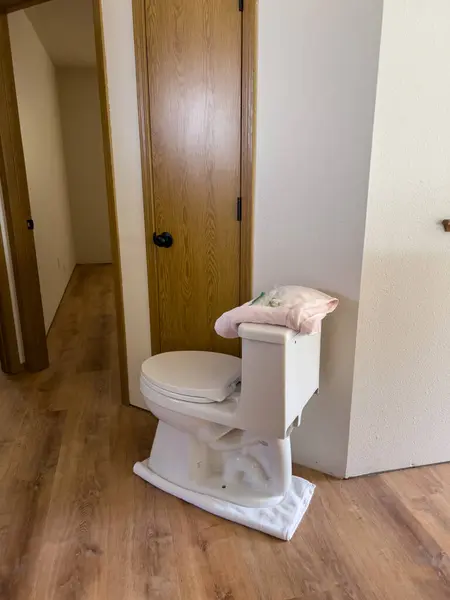 stock image Broomfield, Colorado, USA-September 1, 2024-A toilet is placed on a towel in a room with wood-look vinyl plank flooring, temporarily relocated during a home renovation. A pink towel and cleaning