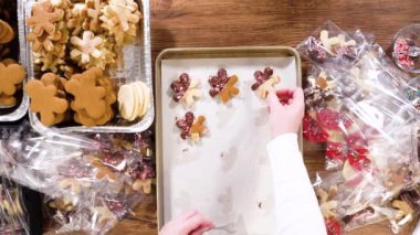 Düz yatıyordu. Dikkatlice paketlenmiş Noel kurabiyeleri, çikolataya batırılmış ve şeffaf selofan ambalajla sunulmuş, bayram hediyesi olarak mükemmel..