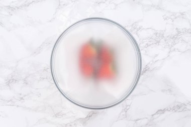 Çilekler, yeni yıkanmış ve kurutulmuş, cam bir kasede güzelce depolanmış kağıt havluyla kaplanmış ve tazeliği korumak için plastikle kaplanmış..