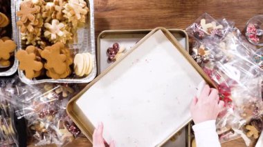 Düz yatıyordu. Dikkatlice paketlenmiş Noel kurabiyeleri, çikolataya batırılmış ve şeffaf selofan ambalajla sunulmuş, bayram hediyesi olarak mükemmel..