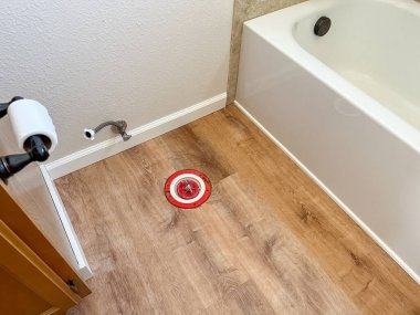 Yeni vinil döşemeli ve silinmiş tuvaletli yenilenmiş bir banyo. Temel su tesisatı ve tuvalet kağıdı tutacağı duruyor. Bu arada alan bir sonraki kurum adımı için hazırlanıyor..