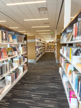 Castle Rock, Colorado, ABD-11 Ekim 2024-A ferah kütüphanesi düzenli olarak düzenlenmiş kitaplıklar ve belirlenmiş bir okuma alanı. Kütüphane, aydınlık ve sessiz bir modern tasarıma sahiptir.