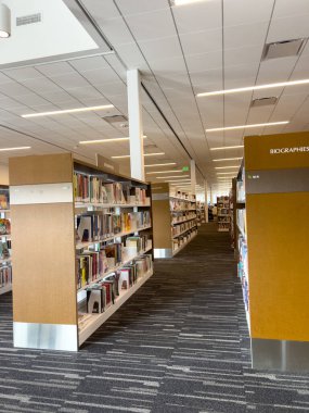 Castle Rock, Colorado, ABD-11 Ekim 2024-A ferah kütüphanesi düzenli olarak düzenlenmiş kitaplıklar ve belirlenmiş bir okuma alanı. Kütüphane, aydınlık ve sessiz bir modern tasarıma sahiptir.