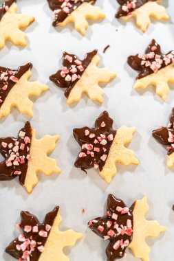 Yıldız şeklinde kurabiyeler hazırlıyorum, çikolataya yarı daldırılmış, bayram için naneli çikolata parçacıkları ile aksanlı..