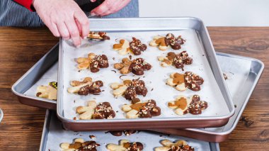 Dikkatlice paketlenmiş Noel kurabiyeleri, çikolataya batırılmış ve şeffaf selofan ambalajla sunulmuş, bayram hediyesi olarak mükemmel..