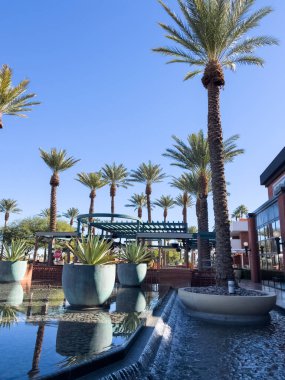 Las Vegas, Nevada, ABD-Kasım 09, 2024 Red Rock Resort 'ta zarif bir açık hava alanı. Uzun, görkemli palmiye ağaçları ve huzur verici bir yansıtıcı havuzu var. Kristal berrak su palmiyeyi yakalar.