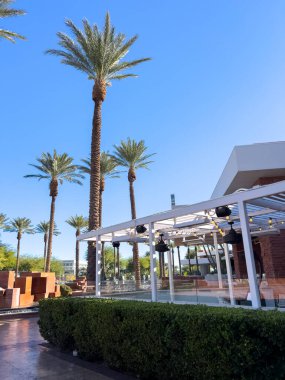 Las Vegas, Nevada, ABD-Kasım 09, 2024 Red Rock Resort 'ta zarif bir açık hava alanı. Uzun, görkemli palmiye ağaçları ve huzur verici bir yansıtıcı havuzu var. Kristal berrak su palmiyeyi yakalar.