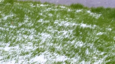 Dış yüzeyi yoğun bir şekilde kaplayan dolu taşlarını gösteren detaylı bir görüntü. Dolu taşları, dolu fırtınasının şiddetini gösteren kalın bir katman oluşturuyor..