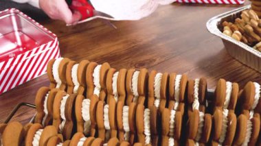 Sevimli ev yapımı zencefilli kurabiye ve şekerli kurabiye, bol çikolataya batırılmış, dekoratif Noel kutusuna yerleştirilmiş mevsimlik hediyeler için mükemmel..