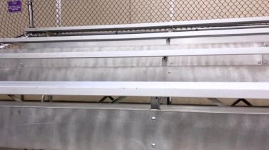 Soğuk, boş tribünler heyecanlı bir oyun beklentisiyle yankılanan ışıldayan buz pateni pistine bakan hevesli seyircileri karşılamaya hazır..