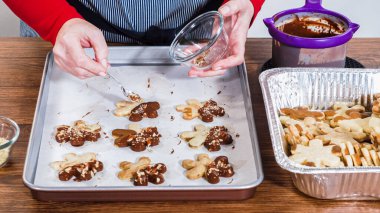 Çikolataya batırılmış ve çeşitli malzemeler serpiştirilmiş yıldız şeklinde tatil kurabiyeleri..