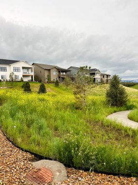 A view of a residential neighborhood in Castle Rock, Colorado, with homes overlooking an overgrown grassy landscape. The area features a winding path, scattered trees, and patches of wildflowers clipart