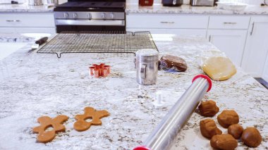 Çeşitli şenlikli kurabiye kesicilerle mermer tezgahtaki rulo hamurdan sevimli zencefilli kurabiyeler kesip modern mutfağa bayram neşesi getiriyorduk..