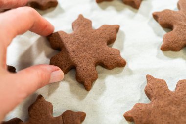 Eliniz çikolatalı zencefilli, kar tanesi şeklinde bir kurabiye tutarken, karışık kenarları ve pişmiş bitişi gösteriyorsunuz..