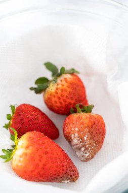 Parlak kırmızı çilekler, küf izleriyle karışmış, beyaz peçetedeki kağıt havluyla kaplı cam bir kasede dinleniyor, depolama tekniklerini gösteriyor..