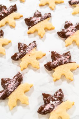 Parşömen kağıdında ezilmiş nane şekeriyle kaplı çikolata soslu kar tanesi şekerli kurabiyenin yakın çekimi..